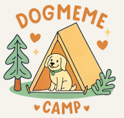 Dog Meme Camp